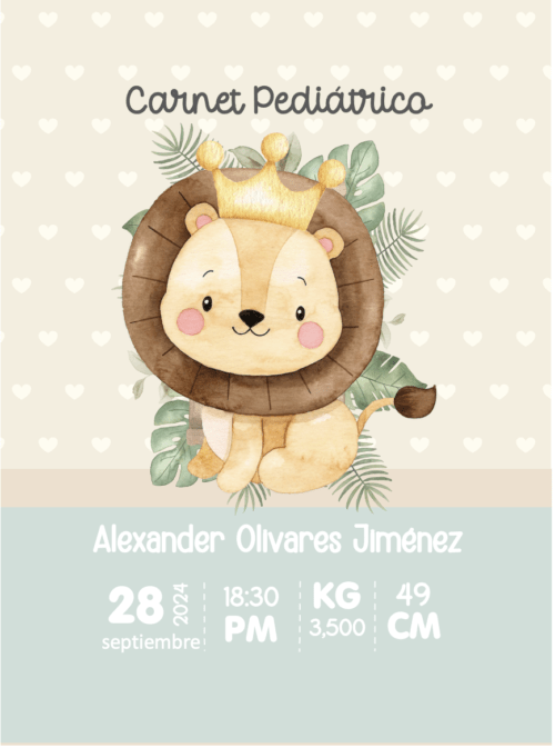 portada agenda pediatrica leon portada agenda pediatrica leon celeste