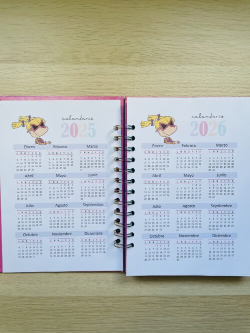 planner personalizado angélica
