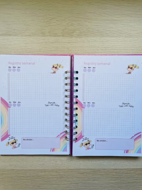 planner personalizado angélica