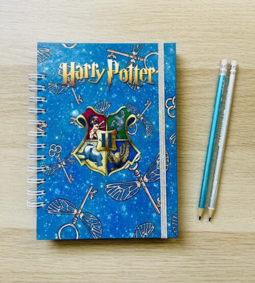 agenda harry potter 2026 fechada