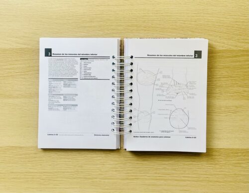 libro para colorear spooky vibes