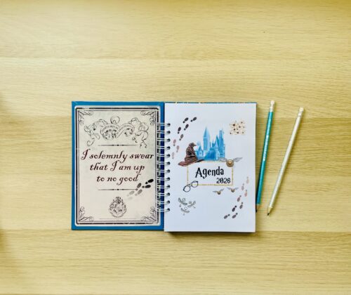 agenda harry potter 2026 fechada