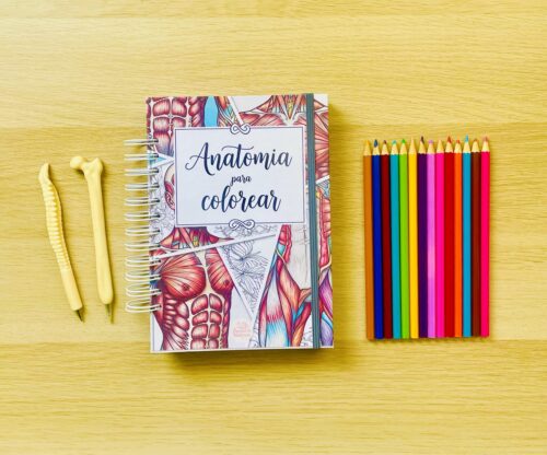 libro de anatomía para colorear libro de anatomía para colorear