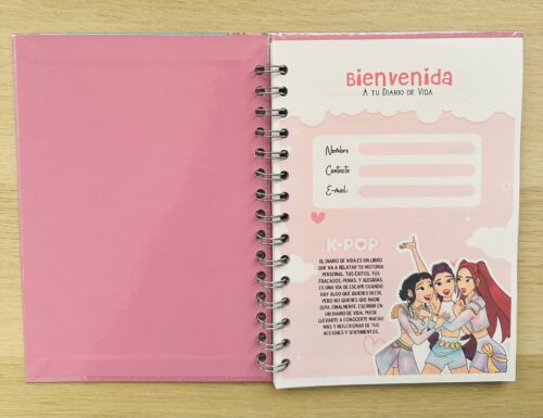 diario de vida "huntrix"