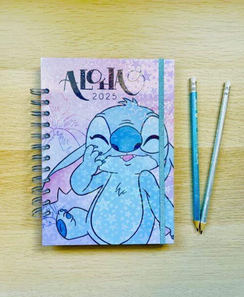 Agenda Stitch Disney Agenda Planner Stitch Disney Personalizada