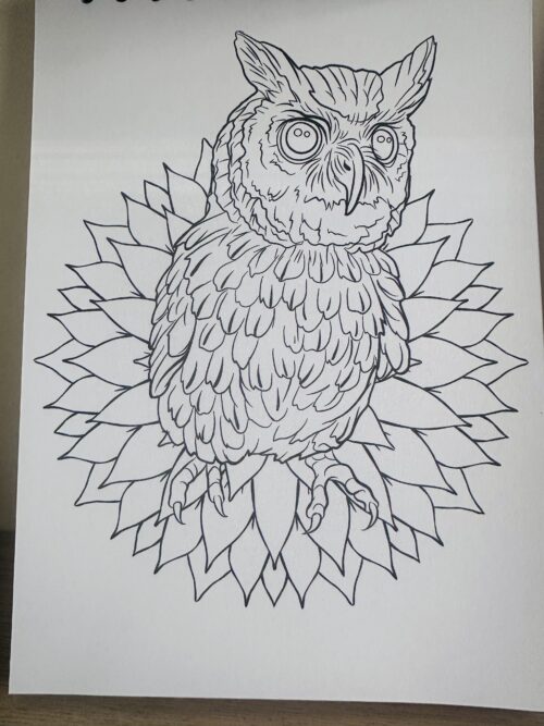 Libro para Colorear Harry Potter Magical Creatures