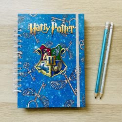agenda harry potter 2026 fechada